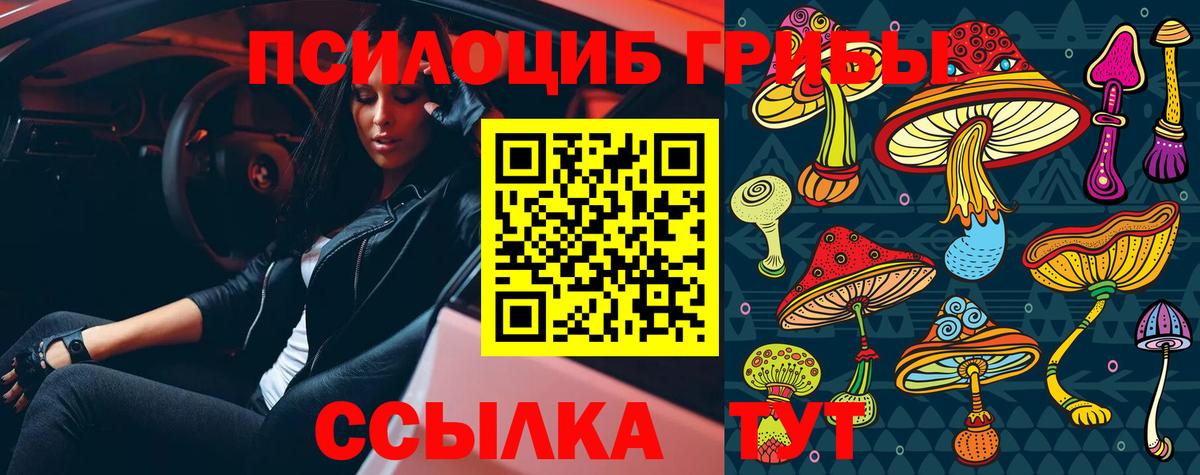 Галлюциногенные грибы ЛСД  Вход с VPN  Кисловодск 